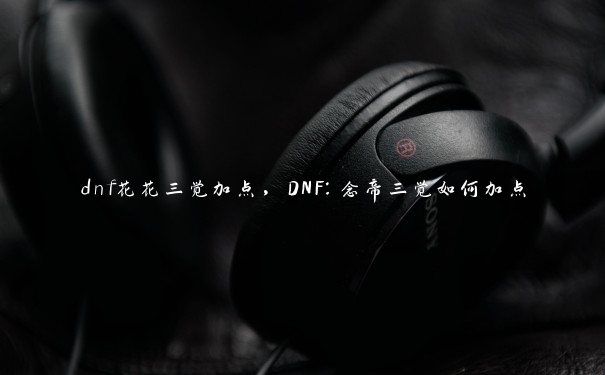 dnf花花三觉加点，DNF：念帝三觉如何加点