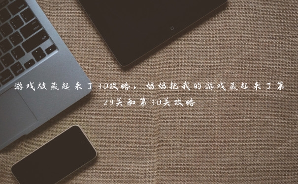 游戏被藏起来了30攻略，妈妈把我的游戏藏起来了第29关和第30关攻略