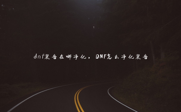 dnf装备在哪净化，DNF怎么净化装备