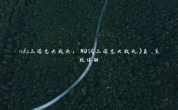 nds三国志大战天，NDS《三国志大战天》真.系统详解